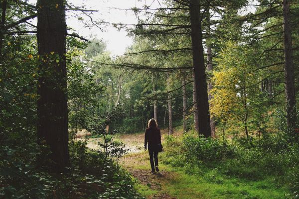 Nainen kävelee metsäpolkua.