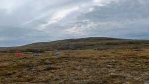 Telttoja tunturissa. 